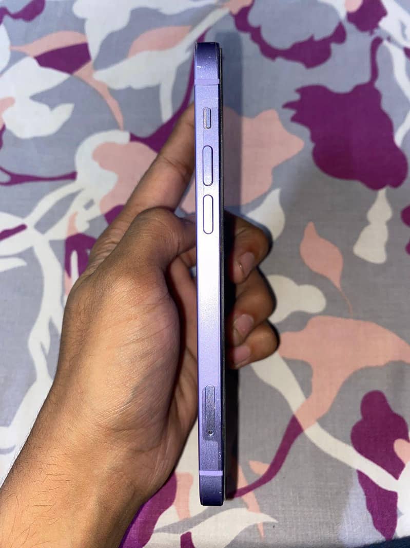 Apple iPhone 12 1