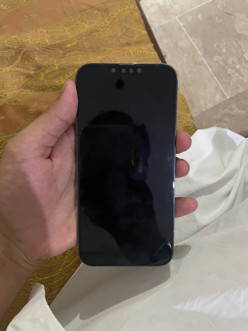 Apple iPhone 13 Pro Max 1