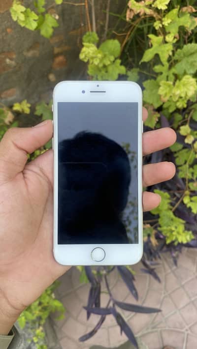 Apple iPhone 7