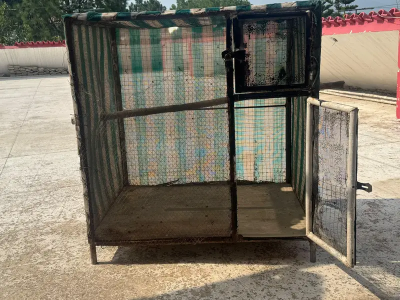 hen and puppy cages — photo 3