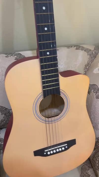 KABAT Guitar + Accessories 10/9 with truss rodd price final hai