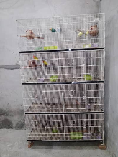Love Bird + cage folding