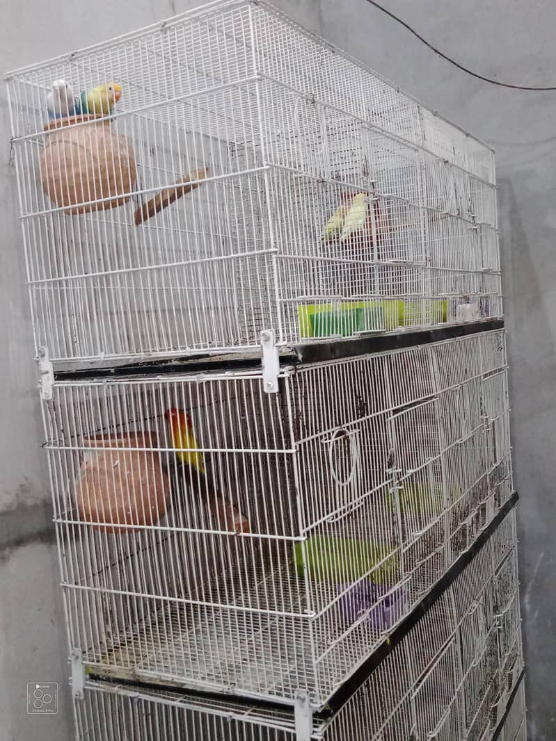 cage folding 1