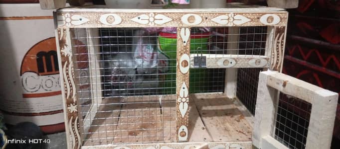 chicks and parrot handmade cage