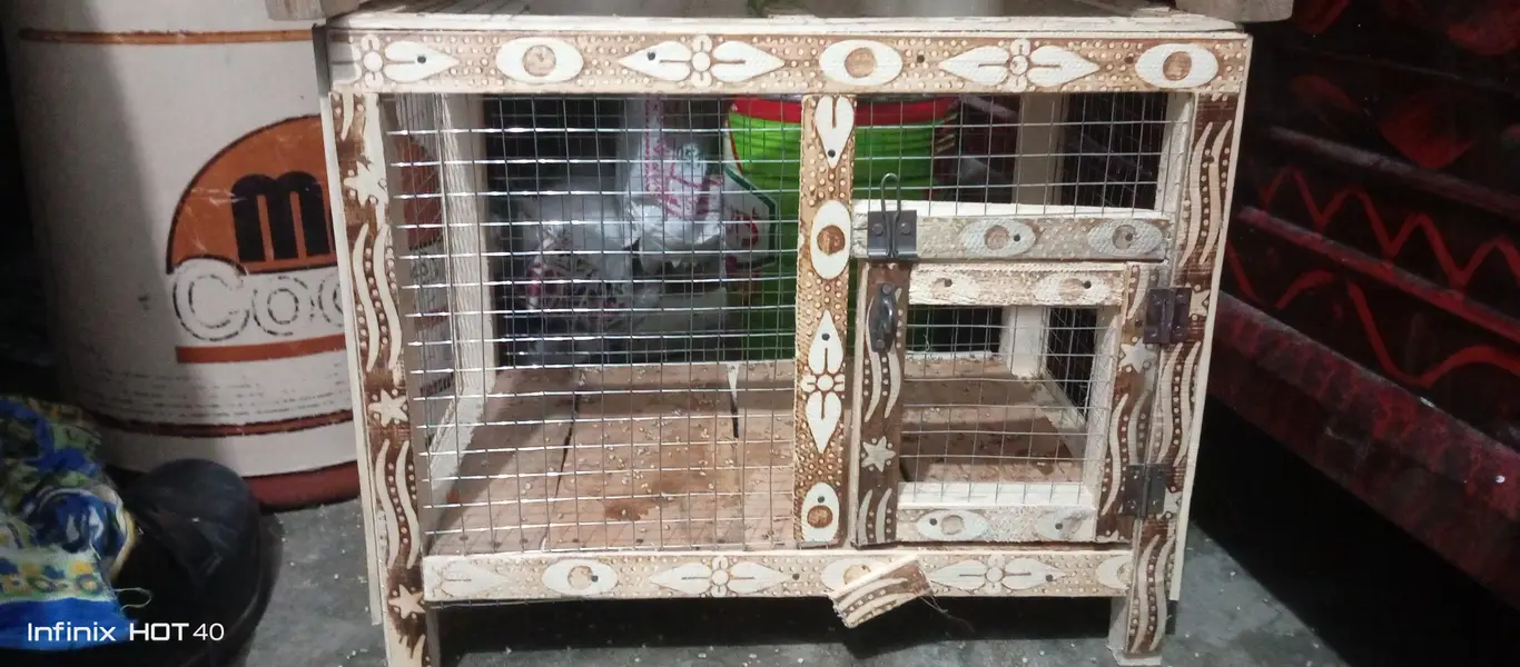 chicks and parrot handmade cage — photo 2