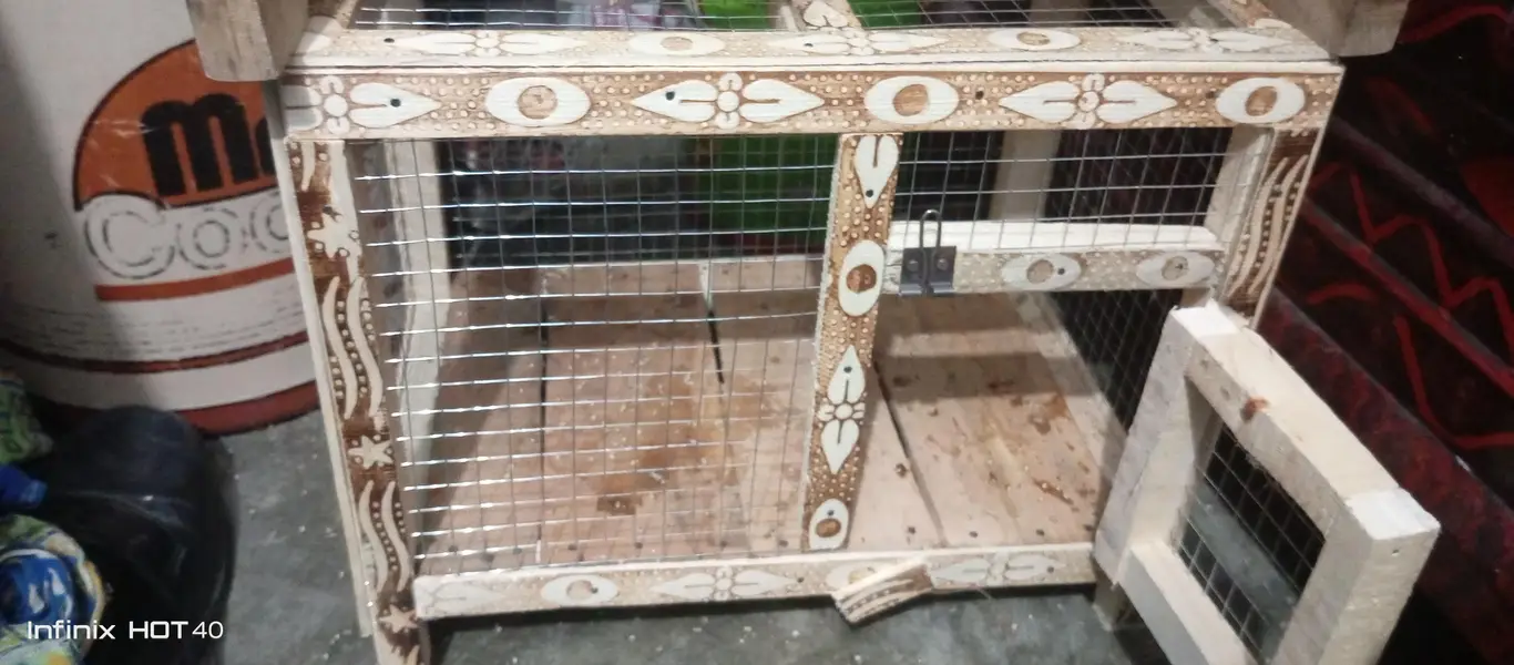 chicks and parrot handmade cage — photo 3