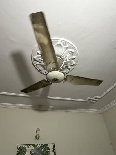 Ceiling Fans For Sales