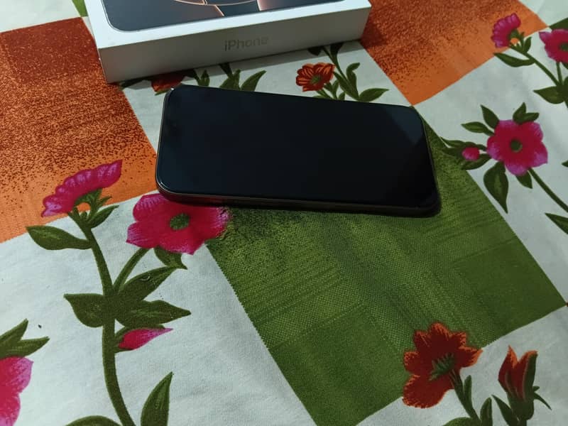 Apple iPhone 16 Pro Max 1