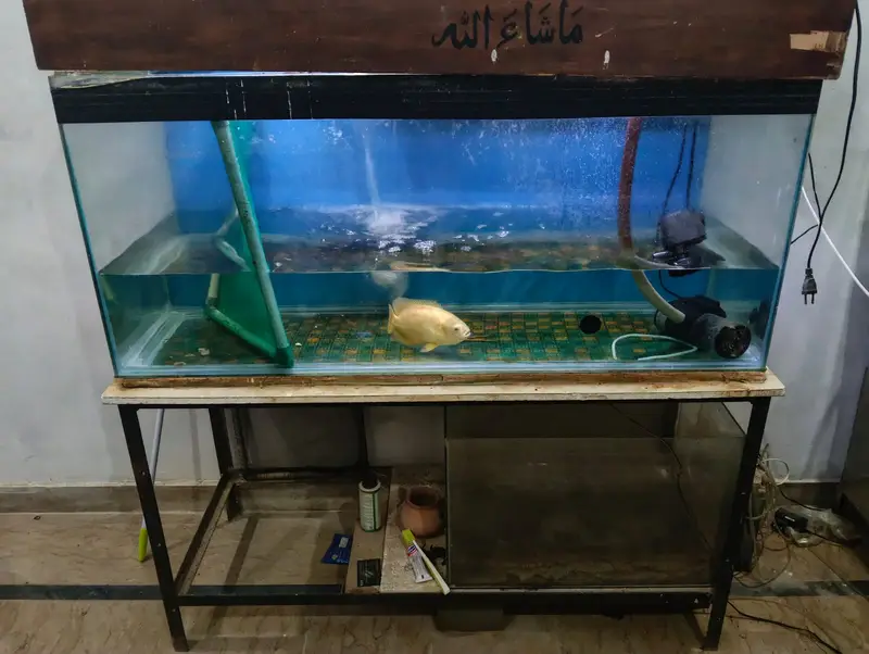 Aquarium For sale