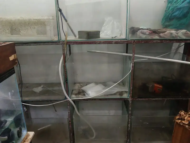 Aquarium For sale — photo 2