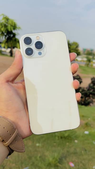 Apple iPhone 13 Pro Max