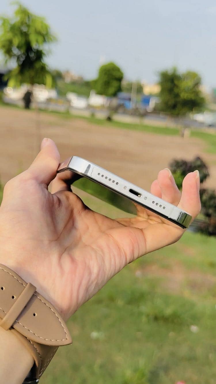 Apple iPhone 13 Pro Max 1