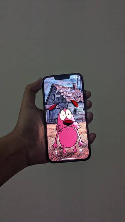 IPHONE 13 PRO NON WITH ORIGINAL UGREEN CHARGER