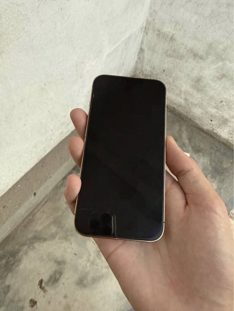 Apple iPhone 13 Pro 0