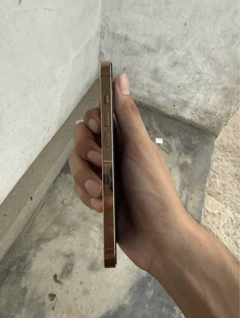 Apple iPhone 13 Pro 1