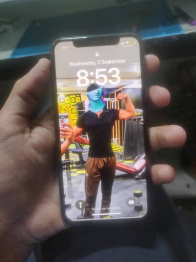Apple iPhone X