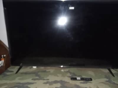 TCL 55 inch