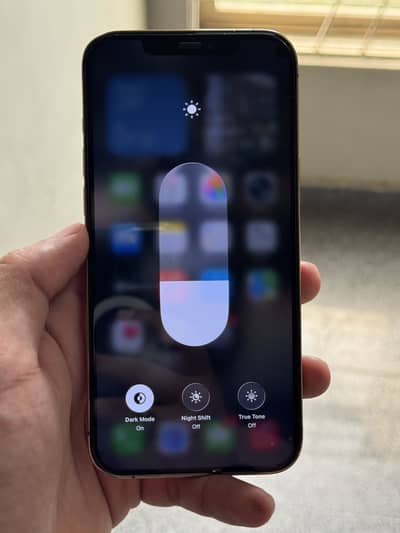 Apple iPhone 12 Pro Max read add