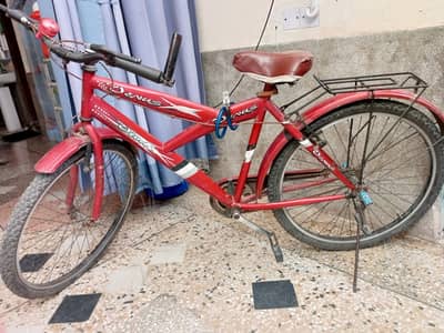 Venus bicycle full size