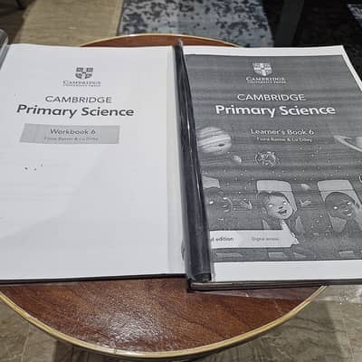 Cambridge Grade 6 books for sale