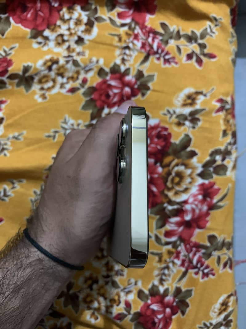 Apple iPhone 13 Pro Max 1