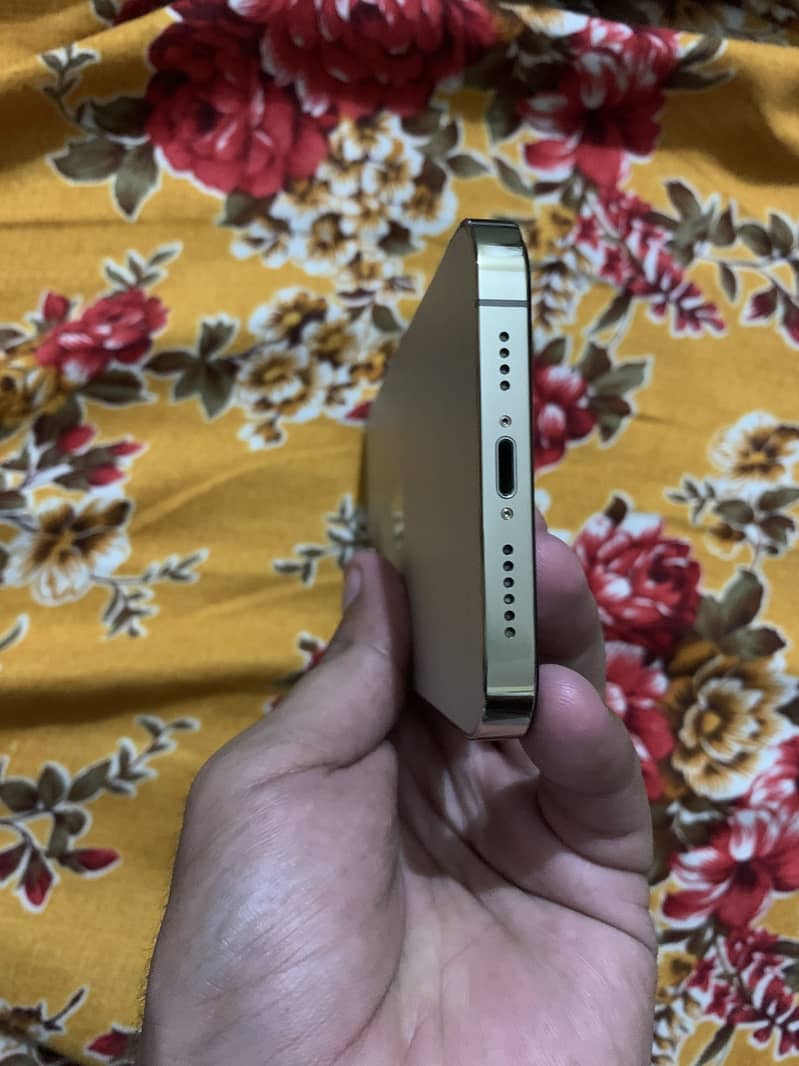 Apple iPhone 13 Pro Max 3