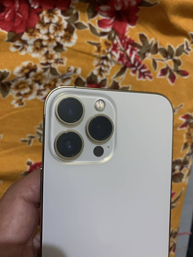 Apple iPhone 13 Pro Max 4
