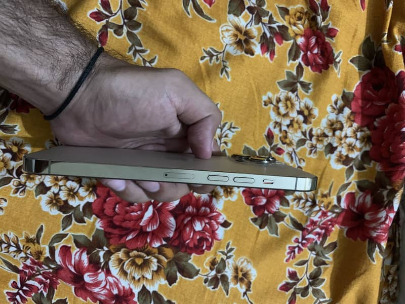 Apple iPhone 13 Pro Max 7