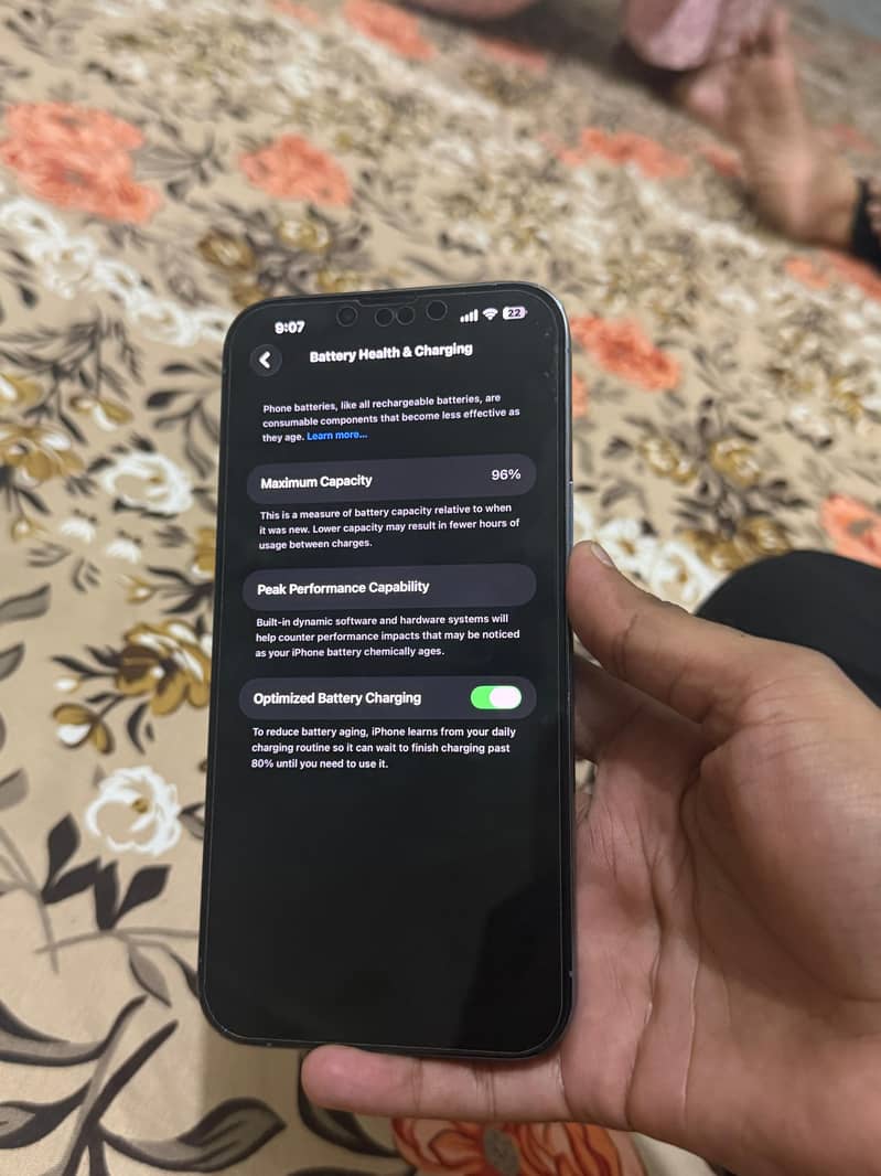 Apple iPhone 13 Pro Max 13