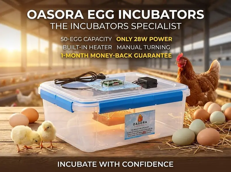 Oasora Incubox Egg Incubators — photo 2