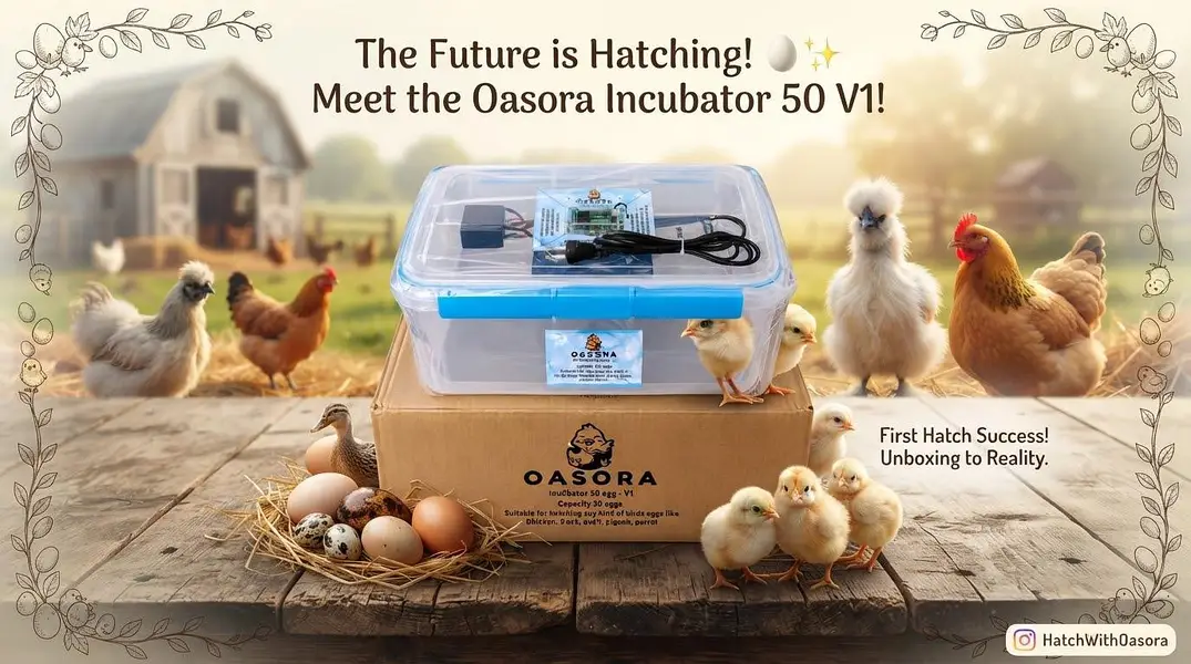 Oasora Incubox Egg Incubators — photo 3