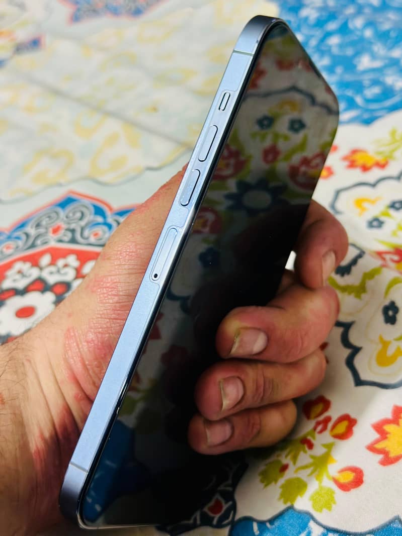 Apple iPhone 13 Pro Max 0