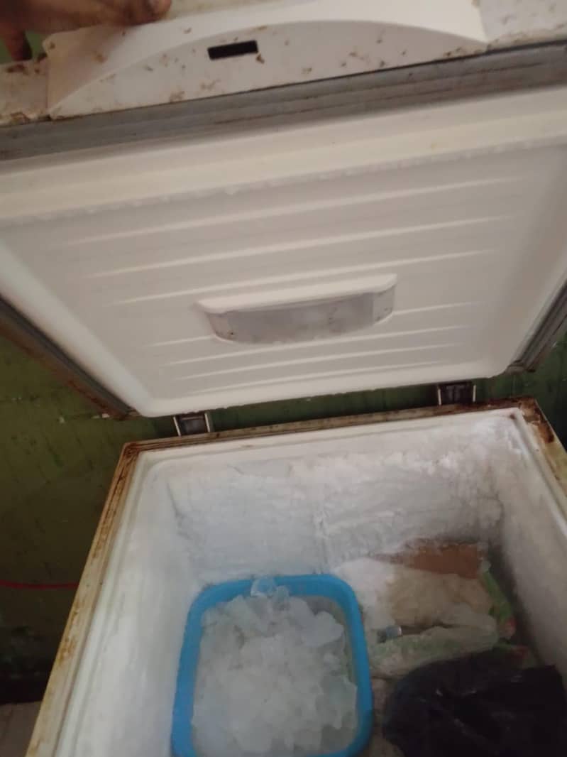 freezer 1