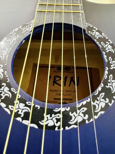 Beginner Level Acoustic Guitar