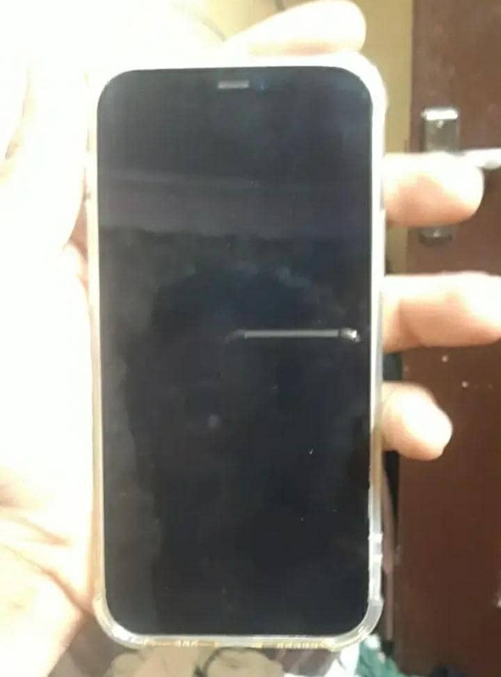 Apple iPhone 12 1