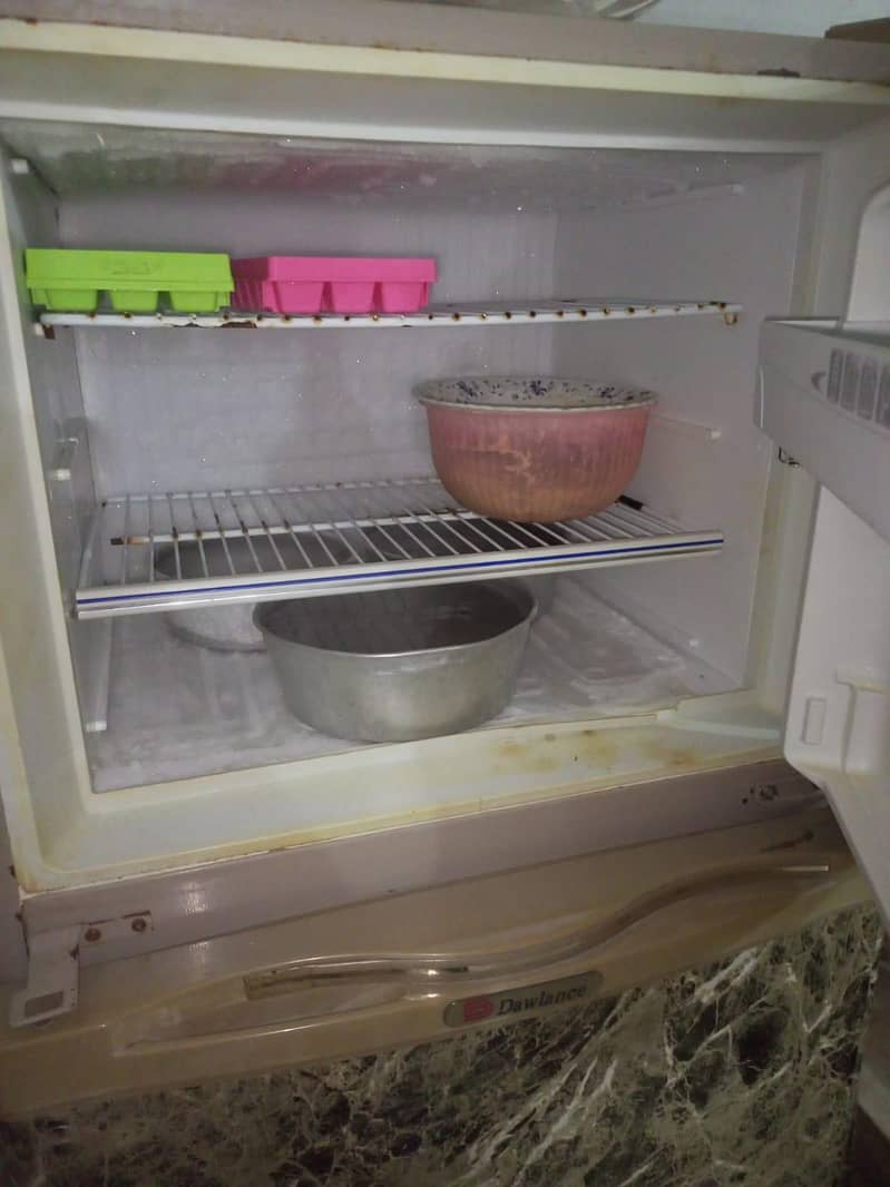 Medium Size Fridge 1