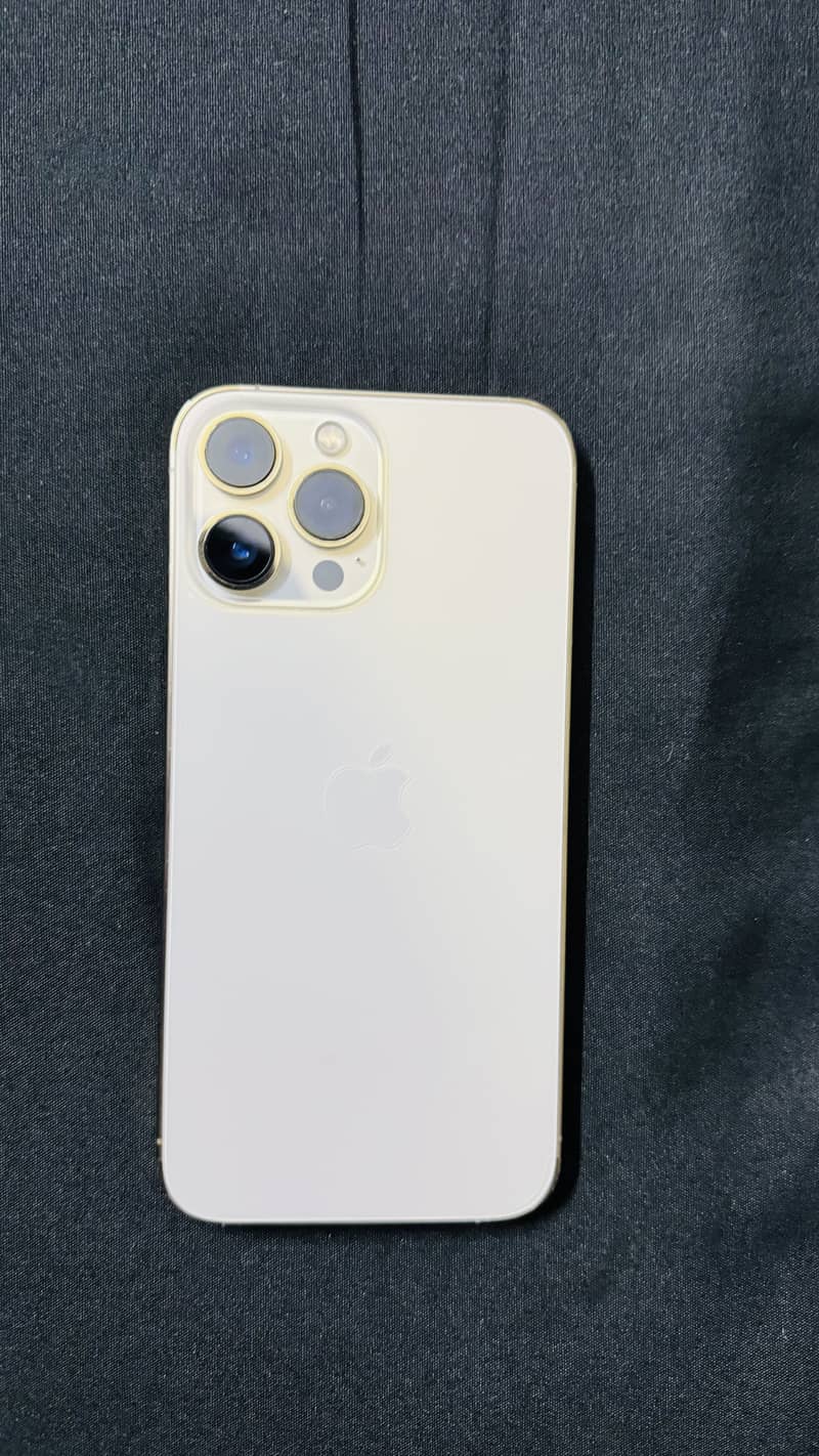 Apple iPhone 13 Pro Max 0