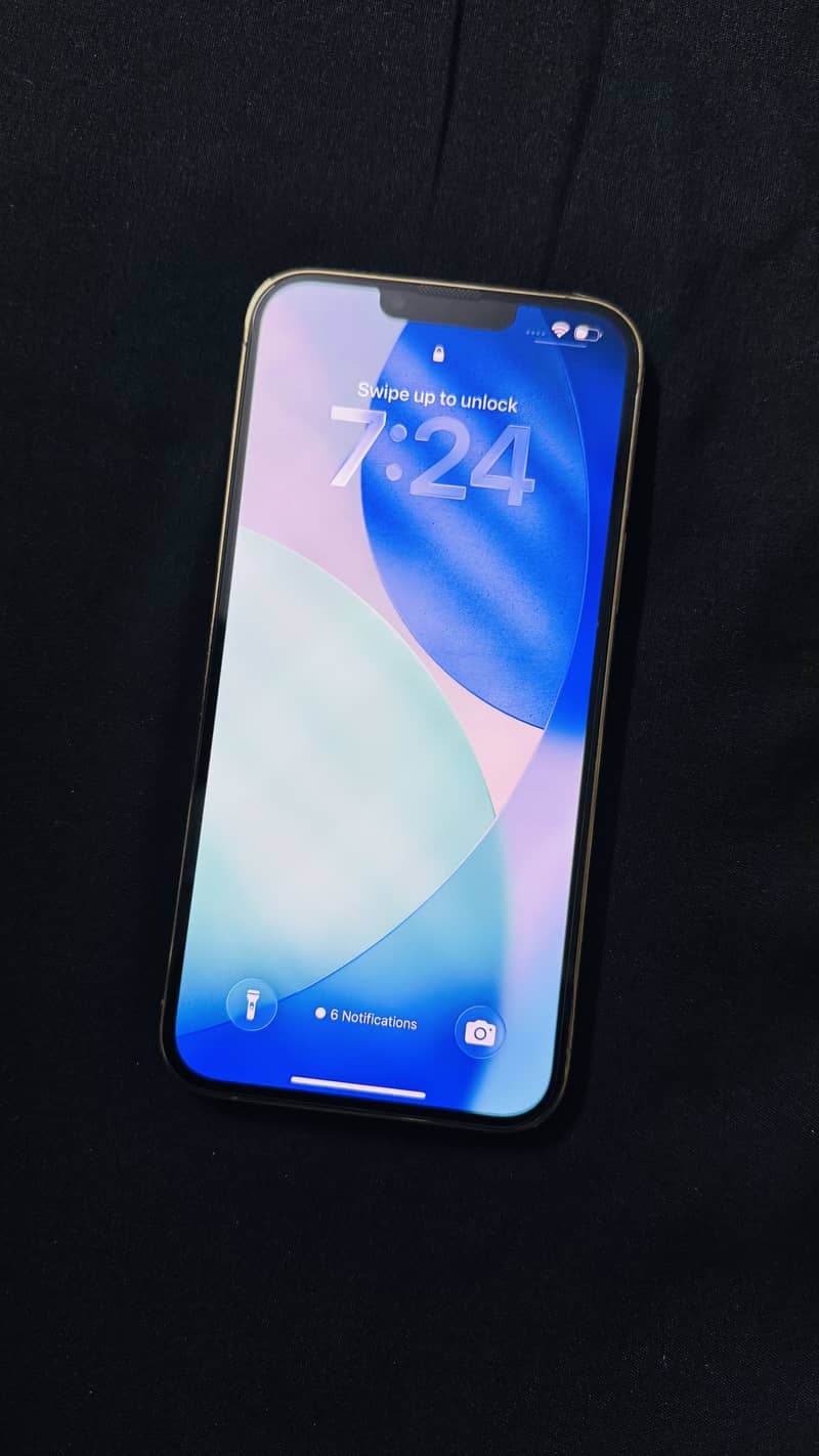 Apple iPhone 13 Pro Max 1