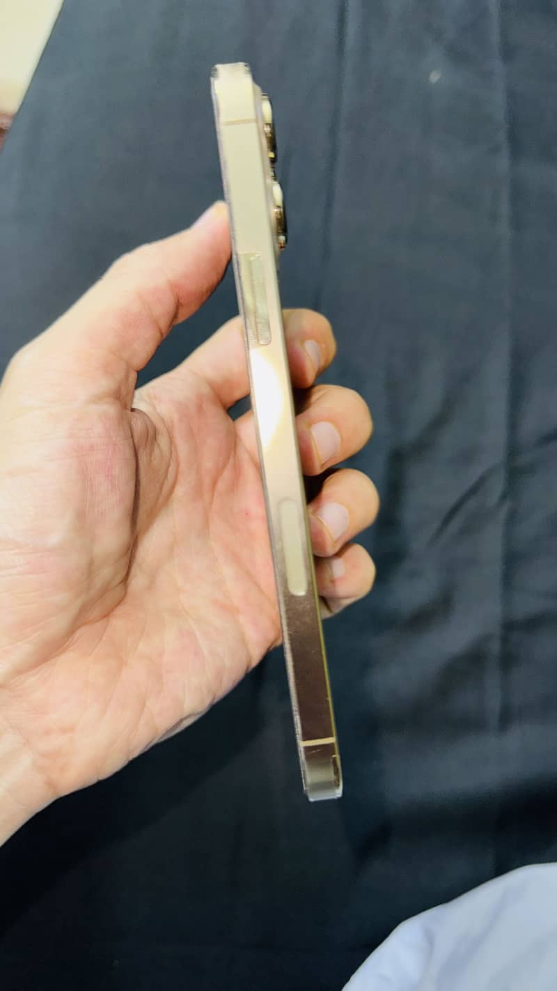 Apple iPhone 13 Pro Max 3