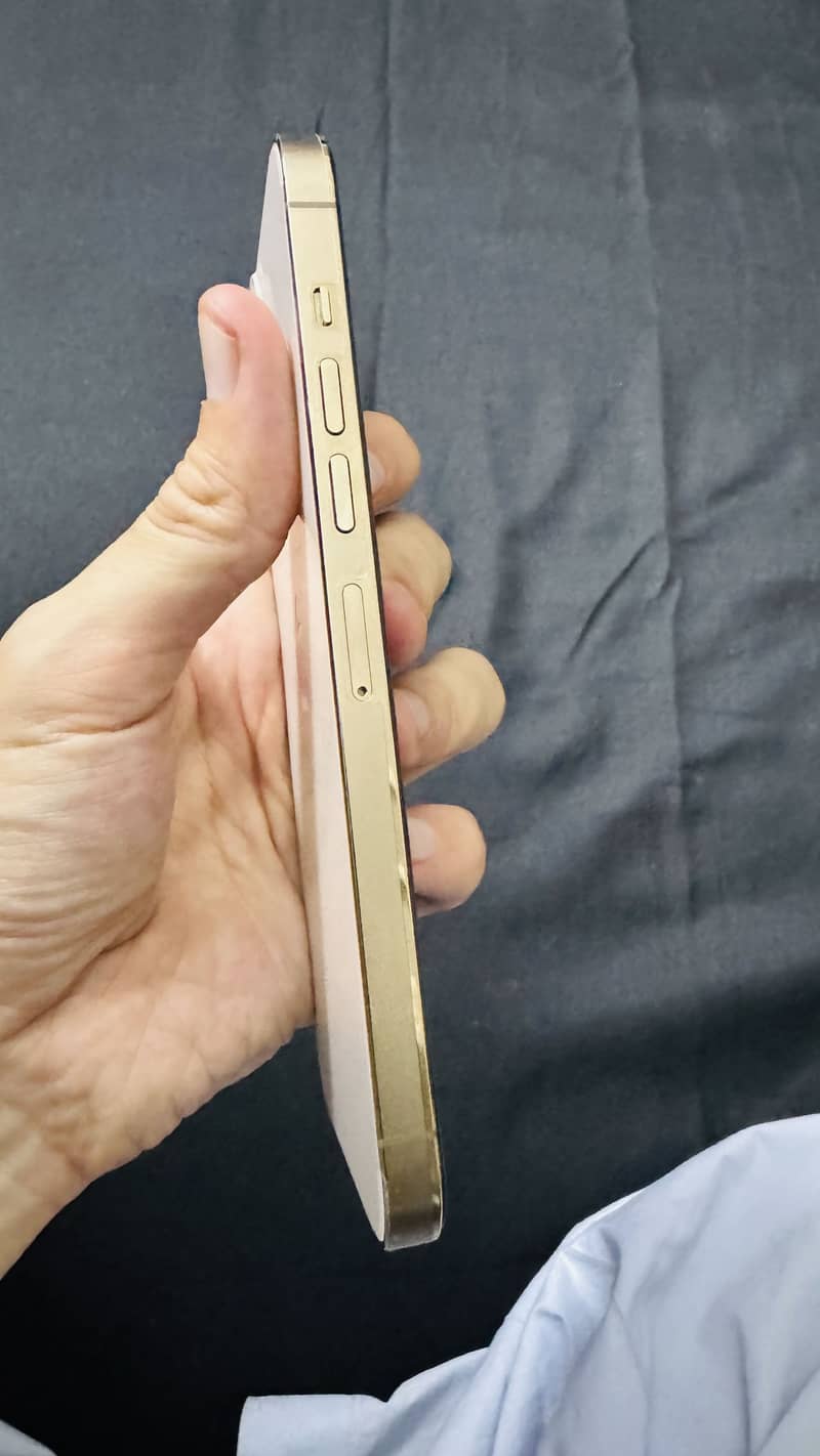 Apple iPhone 13 Pro Max 4