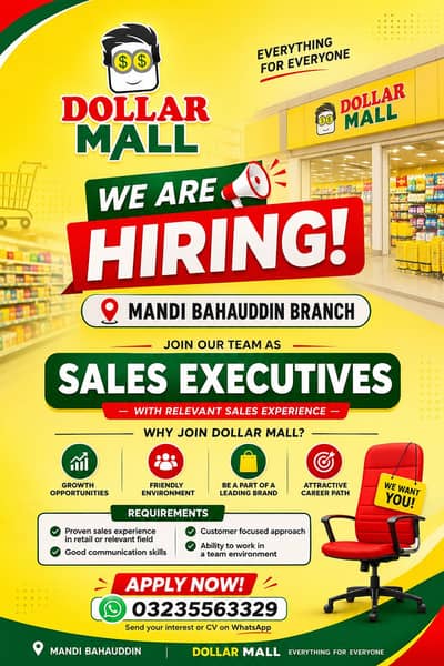Salesman for dollar mall store