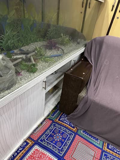Fish aquarium, fridge, LCD trolley( glass and wooden both)