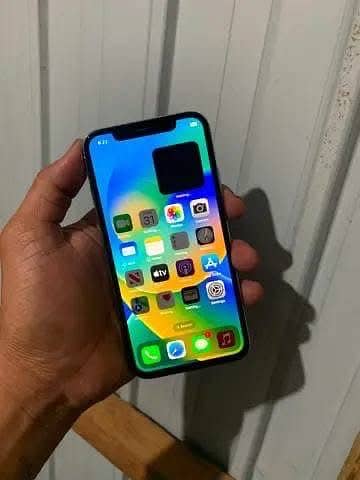 Apple iPhone X 1