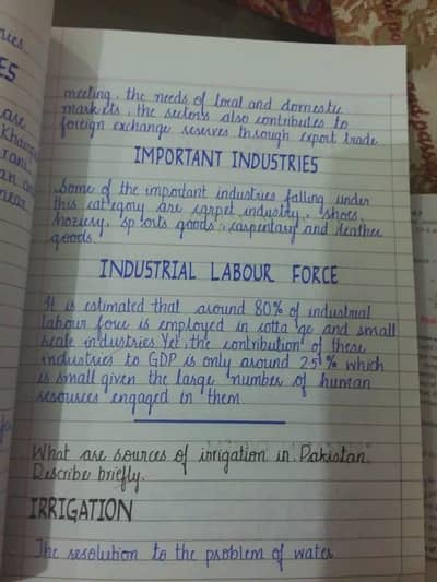 olx assignment. thesis. report writing- All subject Multan