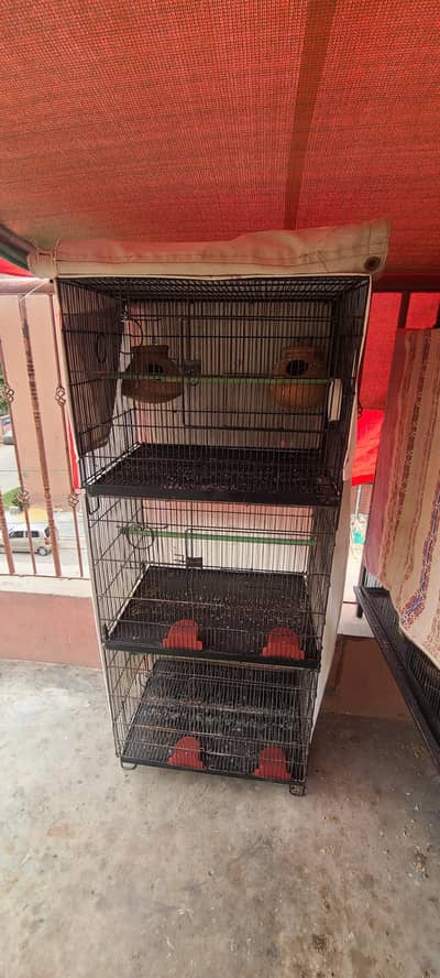 cage 10 by 10 for sale