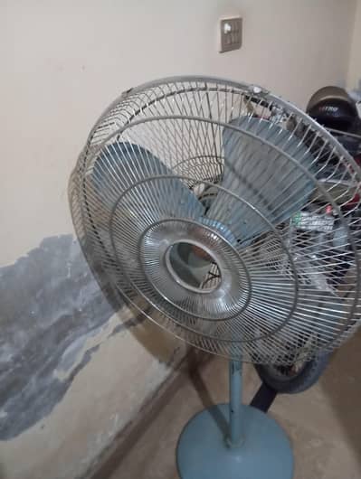 roYal fan