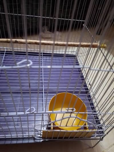 Parrot large size cage