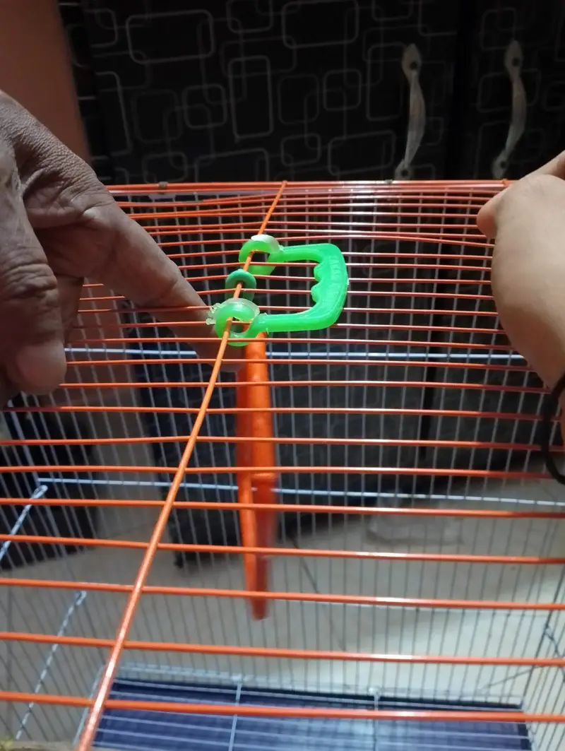 Parrot large size cage — photo 2