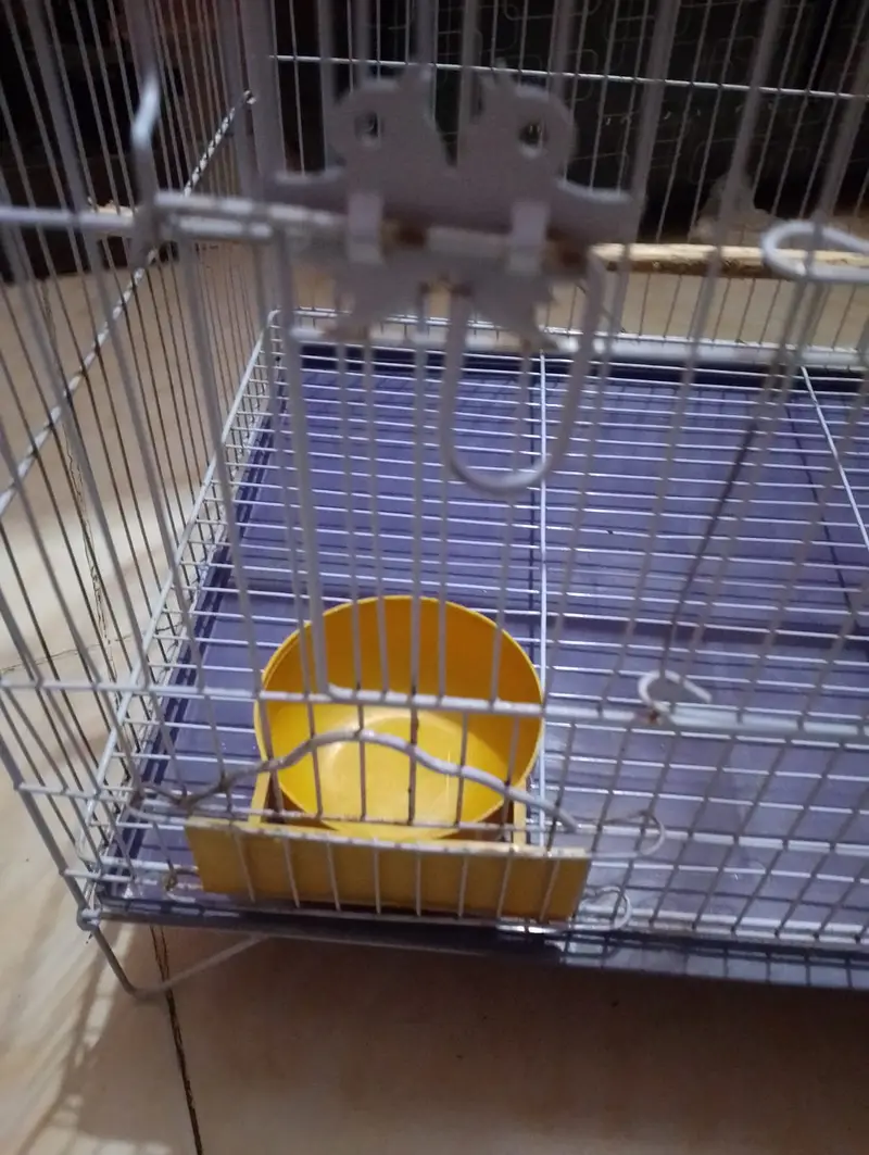 Parrot large size cage — photo 4