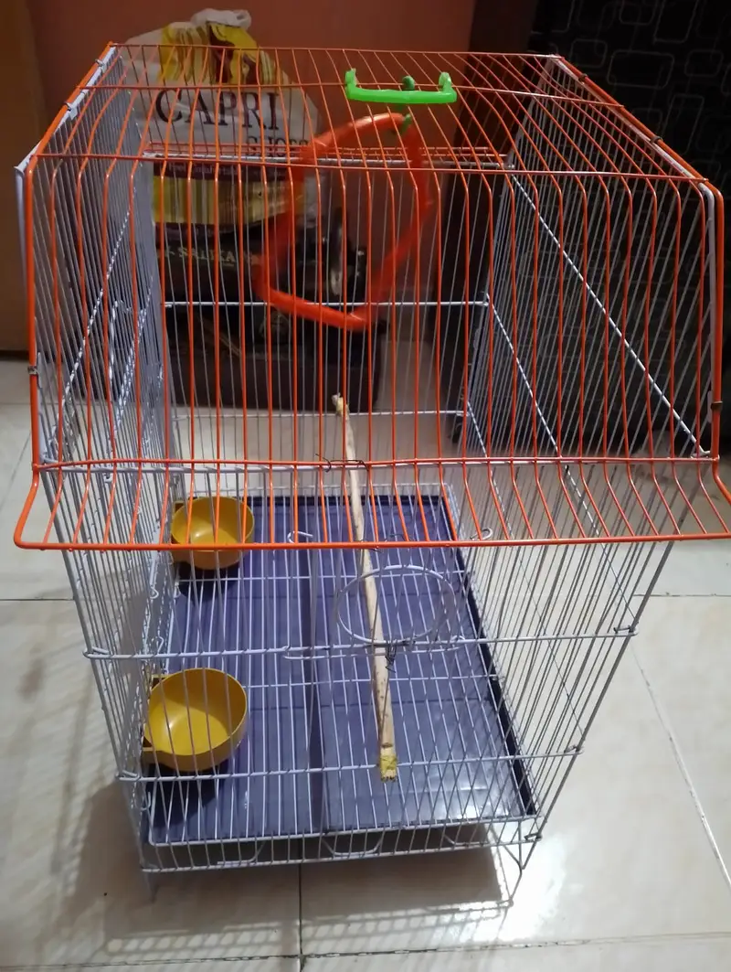Parrot large size cage — photo 6